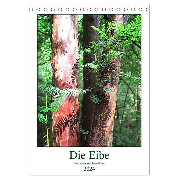 Die Eibe - Der sagenumwobene Baum (Tischkalender 2024 DIN A5 hoch), CALVENDO Monatskalender, Claudia Schimmack