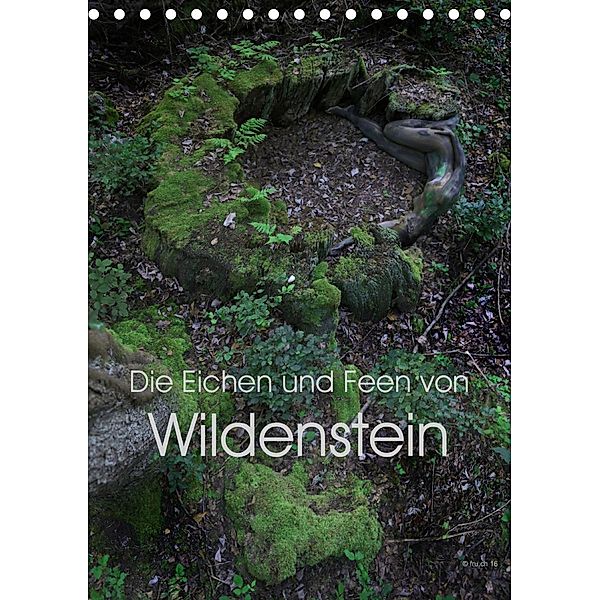 Die Eichen und Feen von Wildenstein (Tischkalender 2020 DIN A5 hoch)
