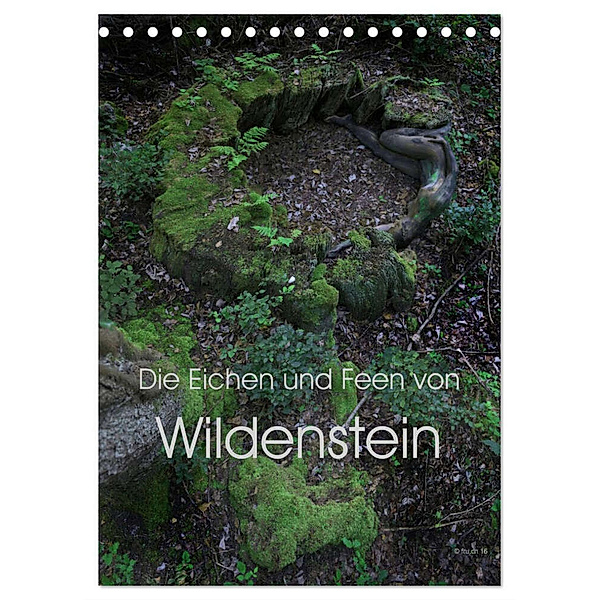 Die Eichen und Feen von Wildenstein (Tischkalender 2024 DIN A5 hoch), CALVENDO Monatskalender, Fru.ch