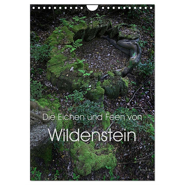 Die Eichen und Feen von Wildenstein (Wandkalender 2024 DIN A4 hoch), CALVENDO Monatskalender, Fru.ch