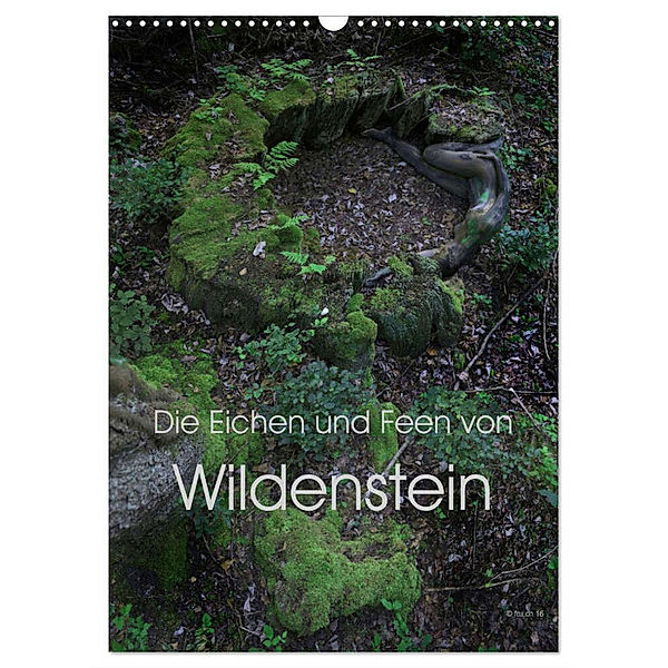 Die Eichen und Feen von Wildenstein (Wandkalender 2024 DIN A3 hoch), CALVENDO Monatskalender, Fru.ch