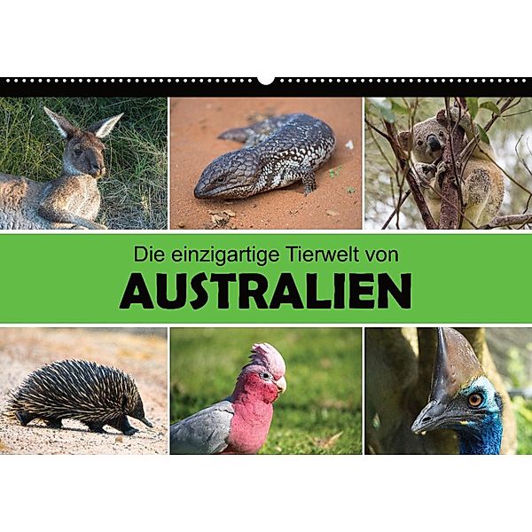 Die einzigartige Tierwelt von Australien (Wandkalender 2023 DIN A2 quer), Christina Williger