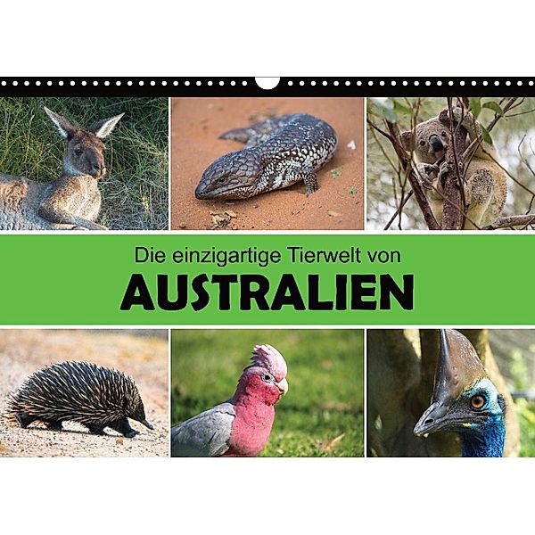 Die einzigartige Tierwelt von Australien (Wandkalender 2023 DIN A3 quer), Christina Williger