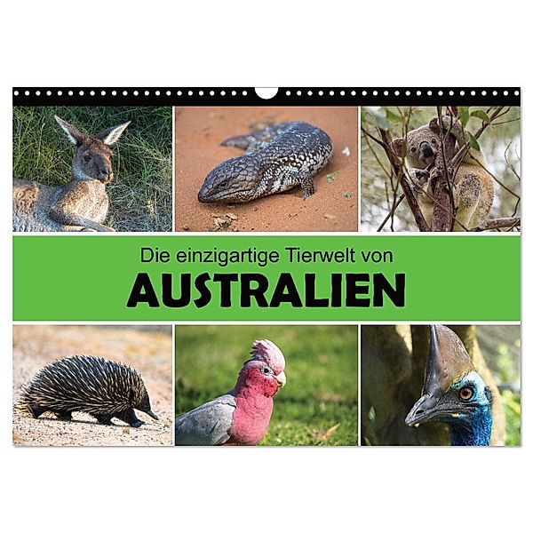 Die einzigartige Tierwelt von Australien (Wandkalender 2024 DIN A3 quer), CALVENDO Monatskalender, Christina Williger