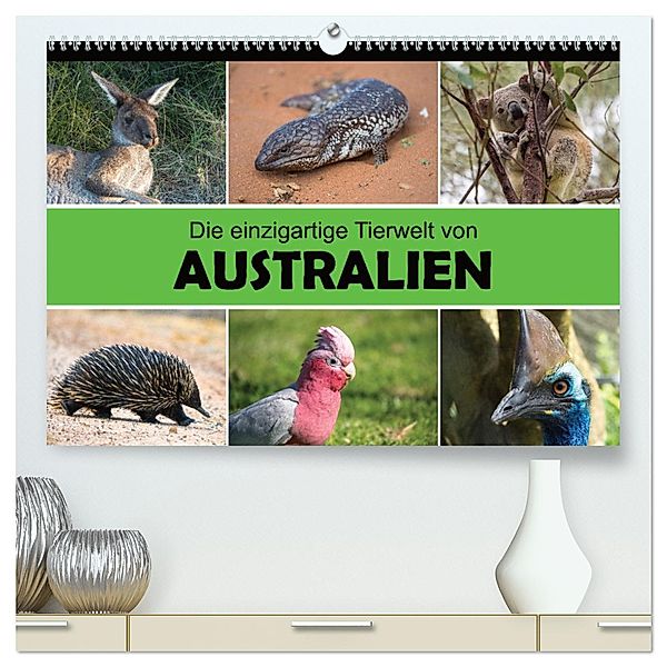 Die einzigartige Tierwelt von Australien (hochwertiger Premium Wandkalender 2025 DIN A2 quer), Kunstdruck in Hochglanz, Calvendo, Christina Williger