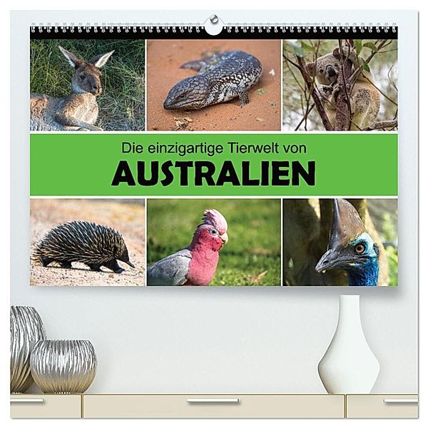 Die einzigartige Tierwelt von Australien (hochwertiger Premium Wandkalender 2025 DIN A2 quer), Kunstdruck in Hochglanz, Calvendo, Christina Williger