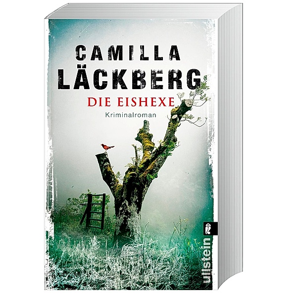 Die Eishexe / Erica Falck & Patrik Hedström Bd.10, Camilla Läckberg