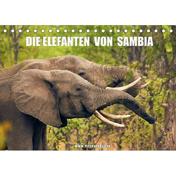 Die Elefanten von Sambia (Tischkalender 2022 DIN A5 quer), Jens Esch