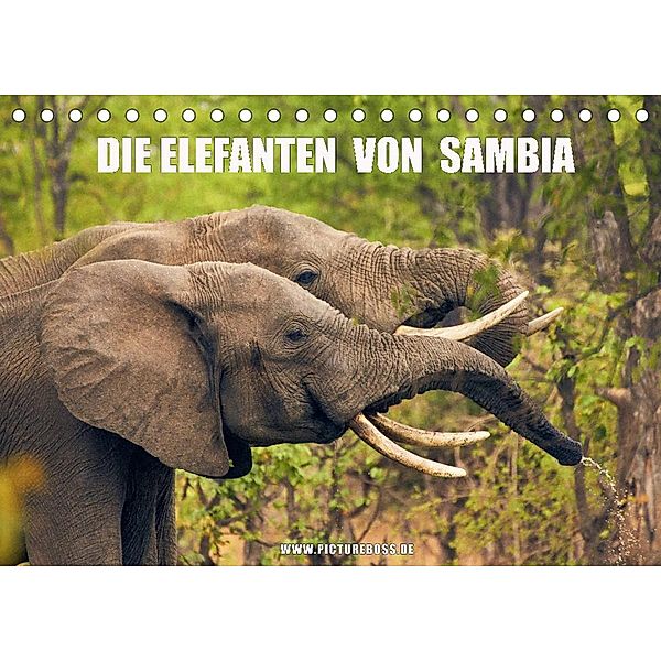 Die Elefanten von Sambia (Tischkalender 2023 DIN A5 quer), Jens Esch