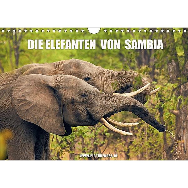 Die Elefanten von Sambia (Wandkalender 2021 DIN A4 quer), Jens Esch