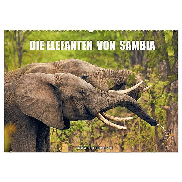 Die Elefanten von Sambia (Wandkalender 2024 DIN A2 quer), CALVENDO Monatskalender, Jens Esch