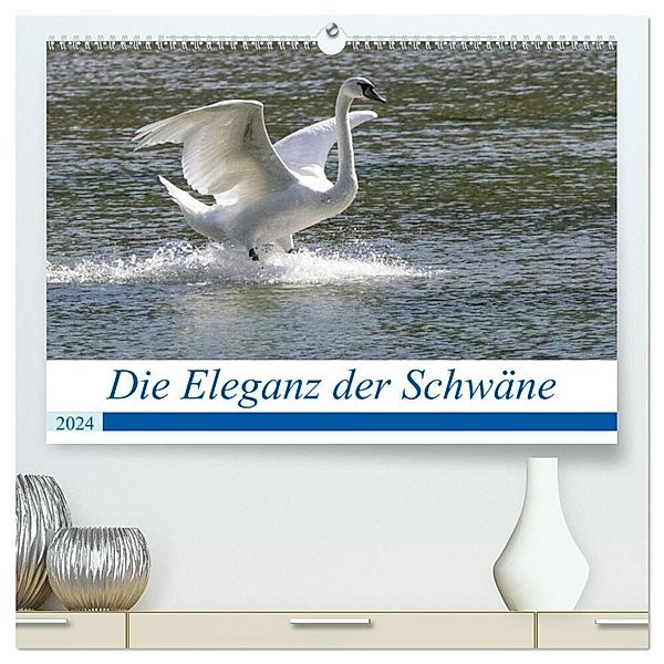 Die Eleganz der Schwäne (hochwertiger Premium Wandkalender 2024 DIN A2 quer), Kunstdruck in Hochglanz, Andreas Müller Fotografie