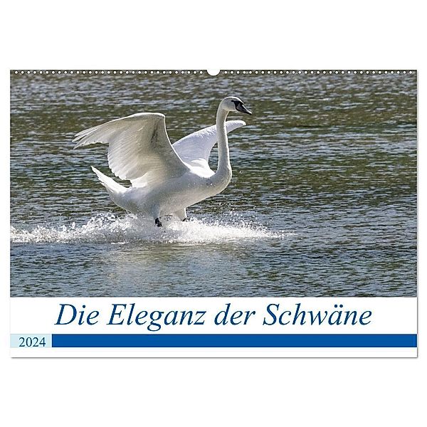 Die Eleganz der Schwäne (Wandkalender 2024 DIN A2 quer), CALVENDO Monatskalender, Andreas Müller Fotografie