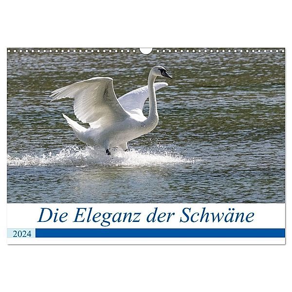 Die Eleganz der Schwäne (Wandkalender 2024 DIN A3 quer), CALVENDO Monatskalender, Andreas Müller Fotografie