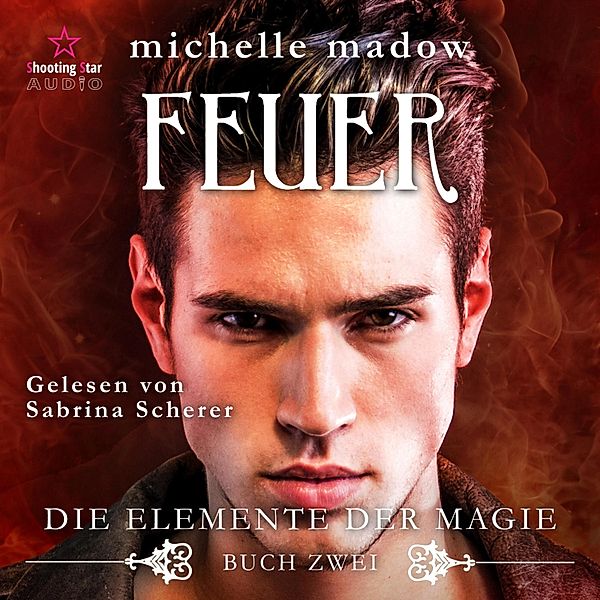 Die Elemente der Magie - 2 - Feuer, Michelle Madow