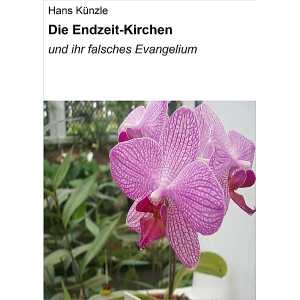 Die Endzeit-Kirchen, Hans Künzle