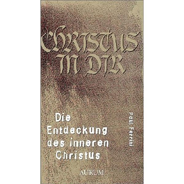 Die Entdeckung des inneren Christus, Paul Ferrini