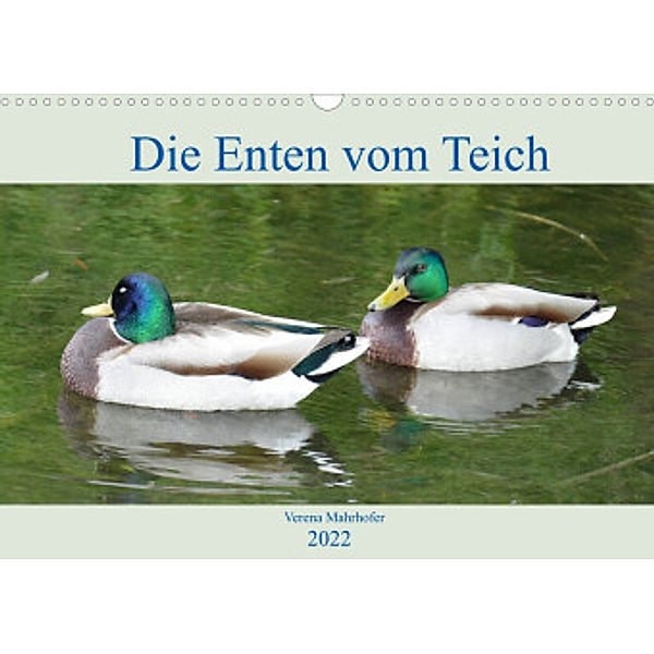 Die Enten vom Teich (Wandkalender 2022 DIN A3 quer), Verena Mahrhofer