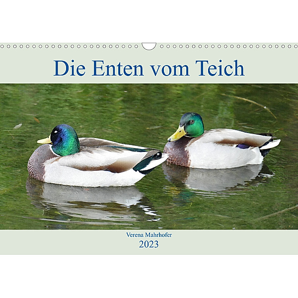 Die Enten vom Teich (Wandkalender 2023 DIN A3 quer), Verena Mahrhofer