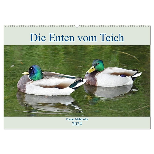 Die Enten vom Teich (Wandkalender 2024 DIN A2 quer), CALVENDO Monatskalender, Verena Mahrhofer