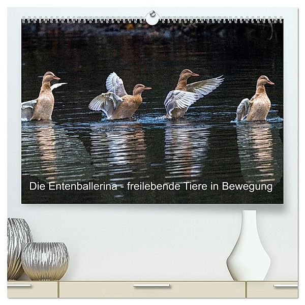 Die Entenballerina - freilebende Tiere in Bewegung (hochwertiger Premium Wandkalender 2025 DIN A2 quer), Kunstdruck in Hochglanz, Calvendo, Bruno Pohl