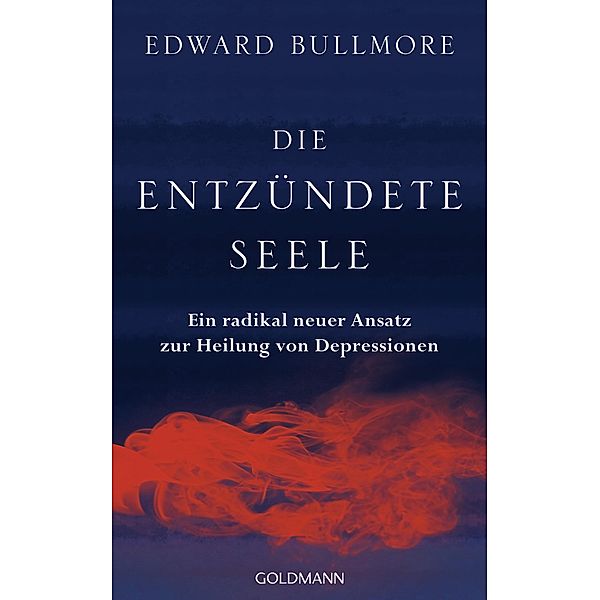 Die entzündete Seele, Edward Bullmore