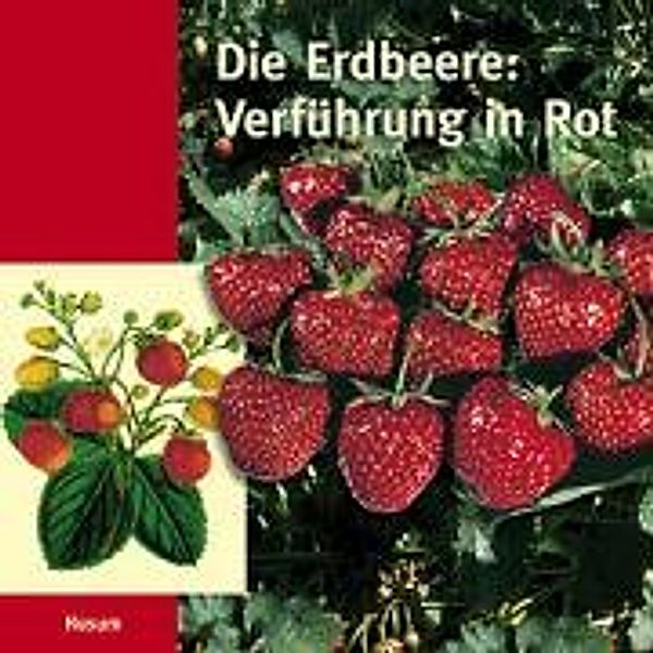 Die Erdbeere, Verführung in Rot, Leo Fox, Torkild Hinrichsen, John Langley, Werner Schröder