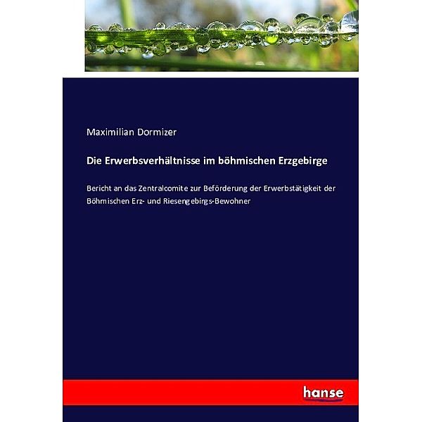 Die Erwerbsverhältnisse im böhmischen Erzgebirge, Maximilian Dormizer