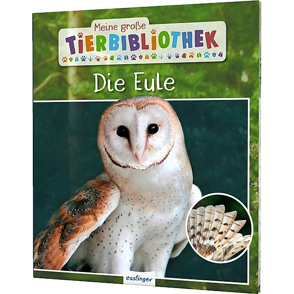 Die Eule / Meine große Tierbibliothek Bd.3, Jens Poschadel