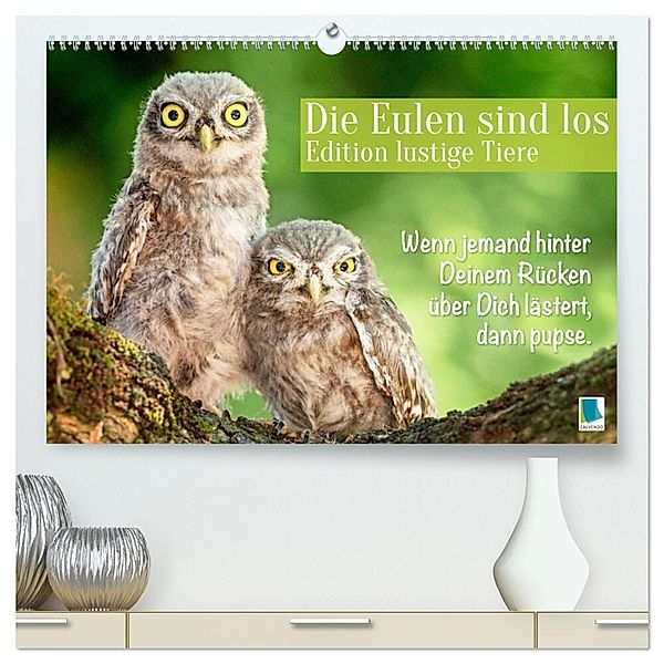 Die Eulen sind los: Edition lustige Tiere (hochwertiger Premium Wandkalender 2024 DIN A2 quer), Kunstdruck in Hochglanz, Calvendo