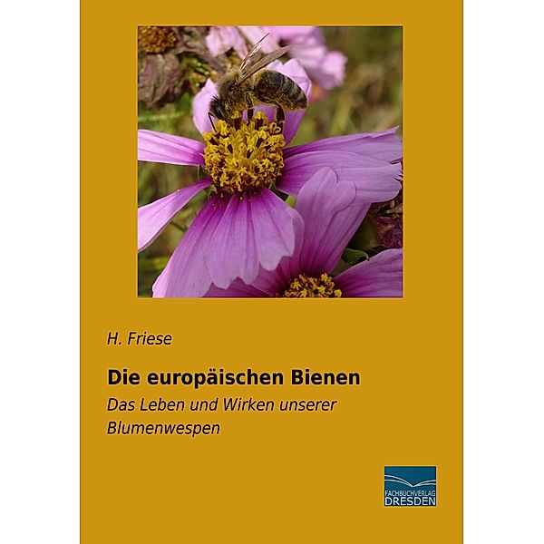 Die europäischen Bienen, H. Friese