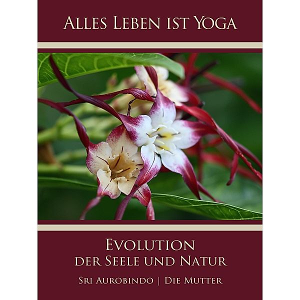 Die Evolution der Seele und Natur, Sri Aurobindo, Die (D. I. Mira Alfassa) Mutter