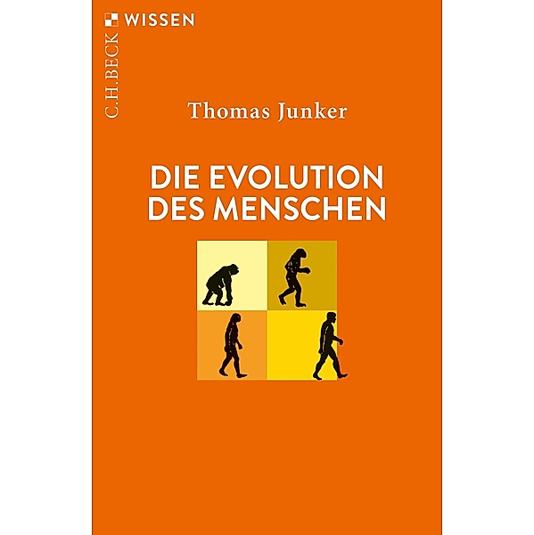 Die Evolution des Menschen / Beck'sche Reihe Bd.2409, Thomas Junker