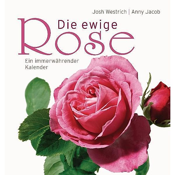 Die ewige Rose, Josh Westrich