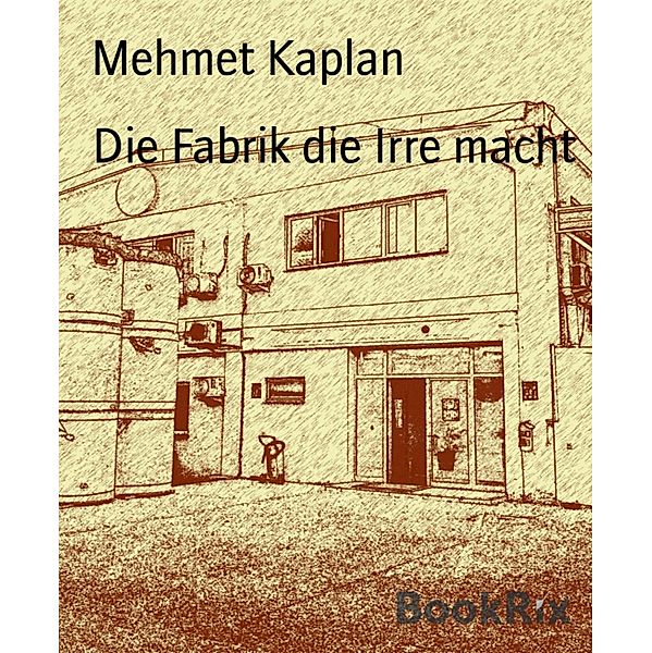 Die Fabrik die Irre macht, Mehmet Kaplan