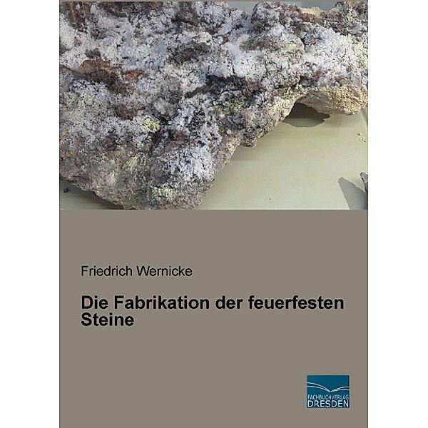 Die Fabrikation der feuerfesten Steine, Friedrich Wernicke