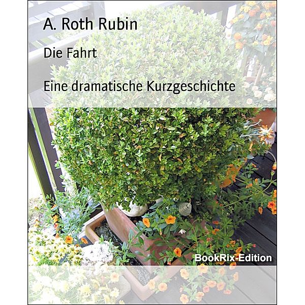 Die Fahrt, A. Roth Rubin