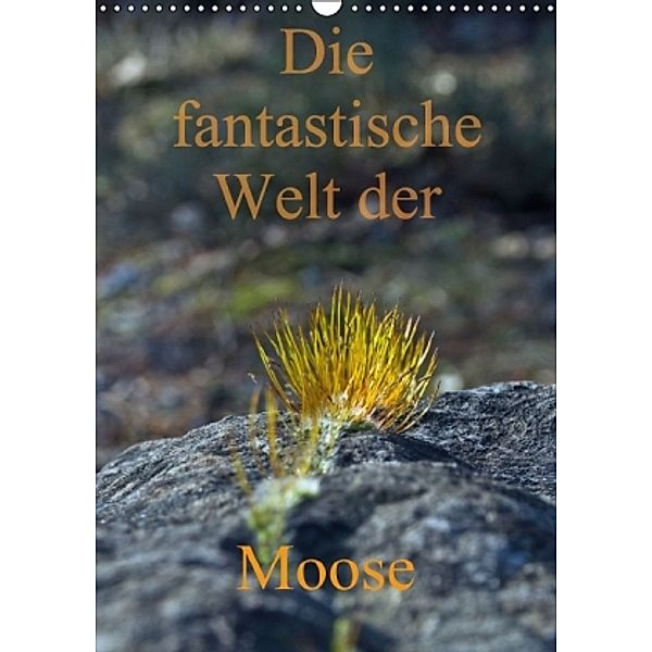 Die fantastische Welt der Moose (Wandkalender 2016 DIN A3 hoch), Dominik Lewald