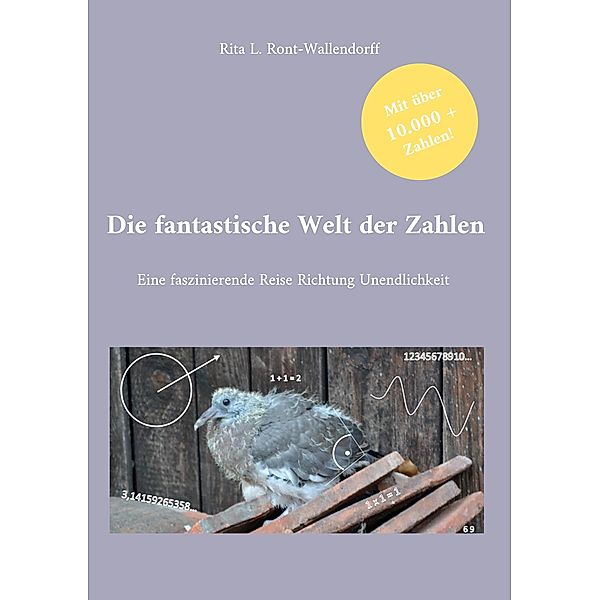 Die fantastische Welt der Zahlen / Die fantastische Welt der Zahlen Bd.1, Rita L. Ront-Wallendorff