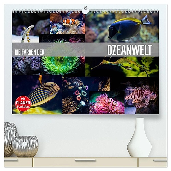 Die Farben der Ozeanwelt (hochwertiger Premium Wandkalender 2024 DIN A2 quer), Kunstdruck in Hochglanz, Dirk Meutzner