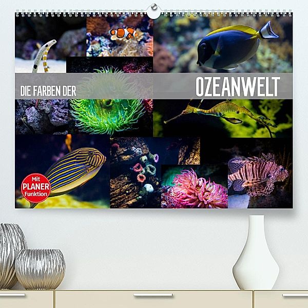 Die Farben der Ozeanwelt (Premium, hochwertiger DIN A2 Wandkalender 2023, Kunstdruck in Hochglanz), Dirk Meutzner