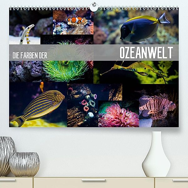 Die Farben der Ozeanwelt (Premium-Kalender 2020 DIN A2 quer), Dirk Meutzner
