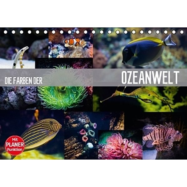 Die Farben der Ozeanwelt (Tischkalender 2016 DIN A5 quer), Dirk Meutzner