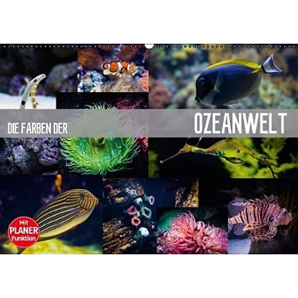 Die Farben der Ozeanwelt (Wandkalender 2016 DIN A2 quer), Dirk Meutzner