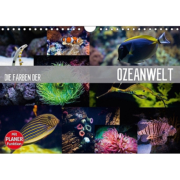 Die Farben der Ozeanwelt (Wandkalender 2018 DIN A4 quer), Dirk Meutzner