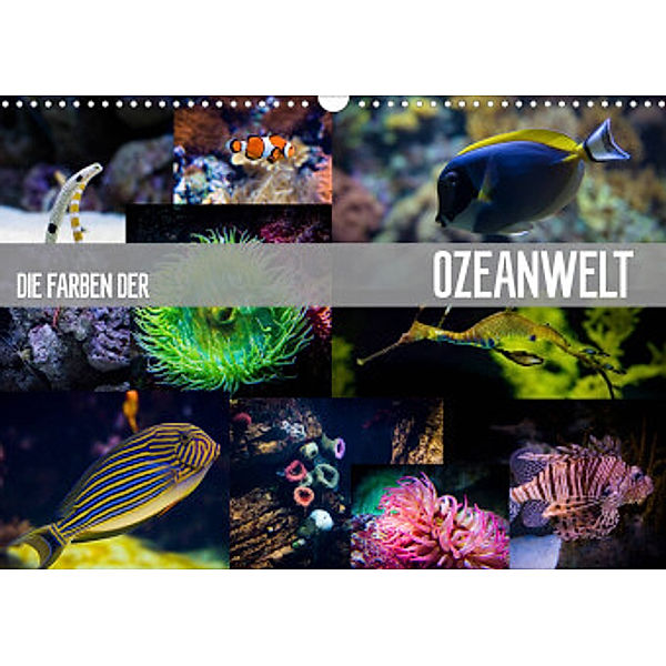 Die Farben der Ozeanwelt (Wandkalender 2022 DIN A3 quer), Dirk Meutzner