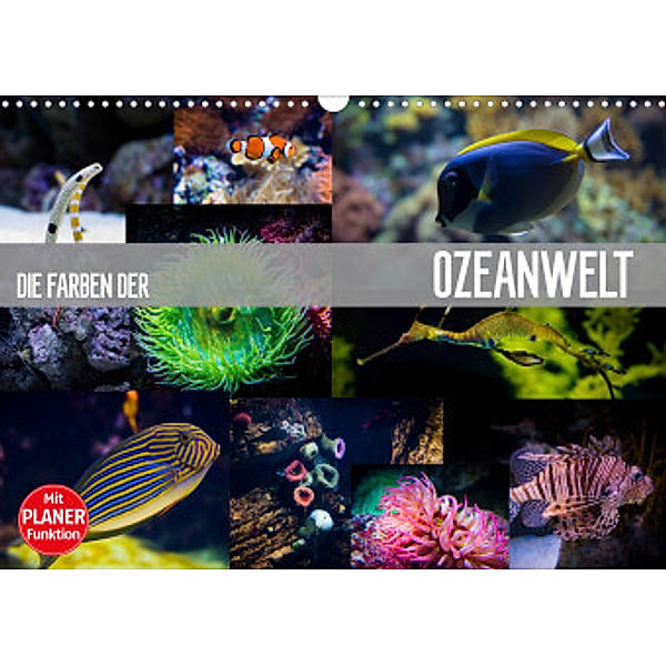 Die Farben der Ozeanwelt (Wandkalender 2022 DIN A3 quer), Dirk Meutzner
