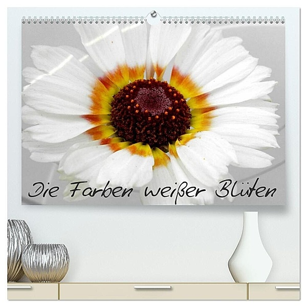 Die Farben weißer Blüten (hochwertiger Premium Wandkalender 2024 DIN A2 quer), Kunstdruck in Hochglanz, Birgit Knodt