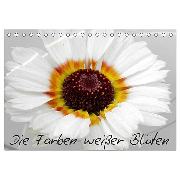 Die Farben weisser Blüten (Tischkalender 2025 DIN A5 quer), CALVENDO Monatskalender, Calvendo, Birgit Knodt