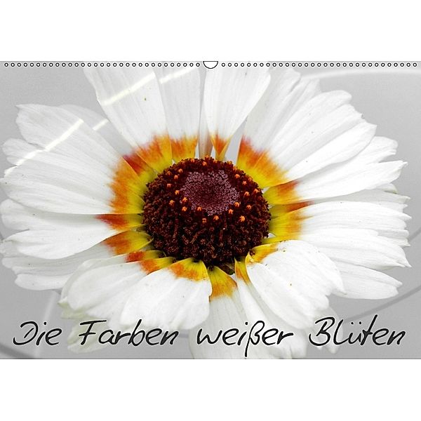 Die Farben weißer Blüten (Wandkalender 2018 DIN A2 quer), Birgit Knodt